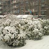 Sneeuw in Noord_08